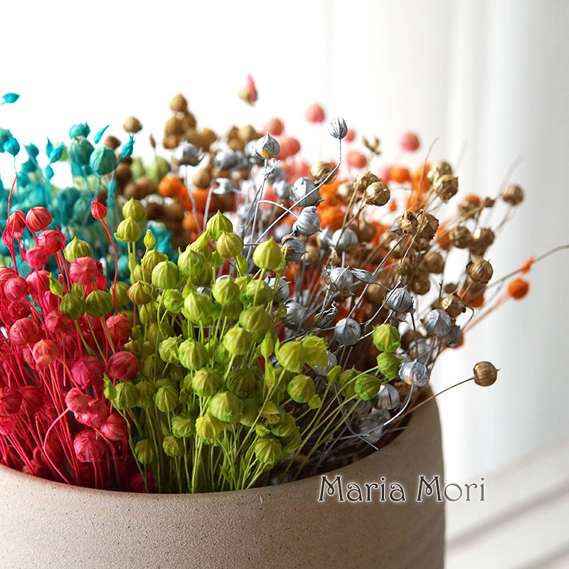 Home Fragrance Flowers - 5g/Konserwowane nasiona lnu Naturalne prawdziwe kwiaty