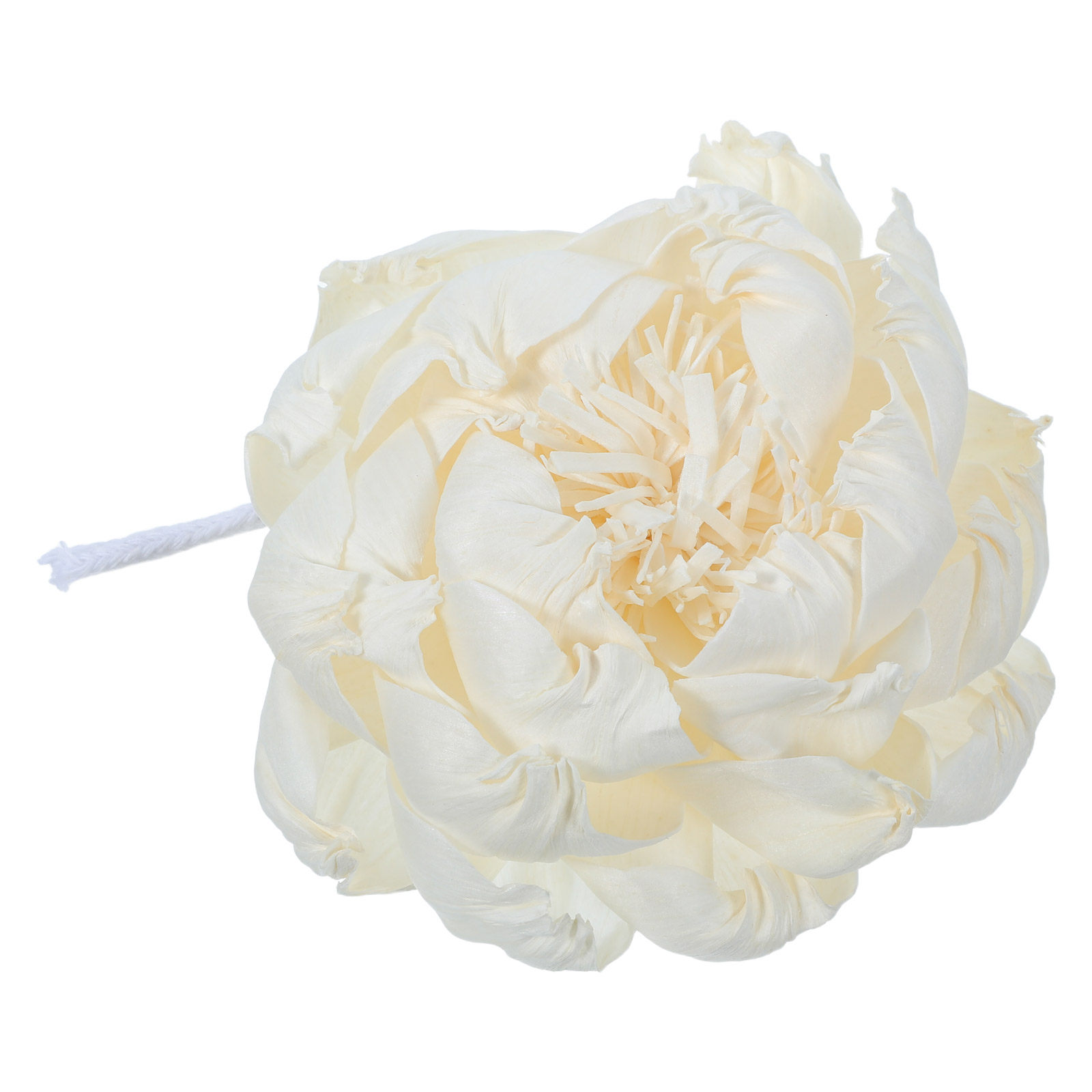 Dyfuzor zapachowy z głową piwo – Home Fragrance Oil recenzja i cena