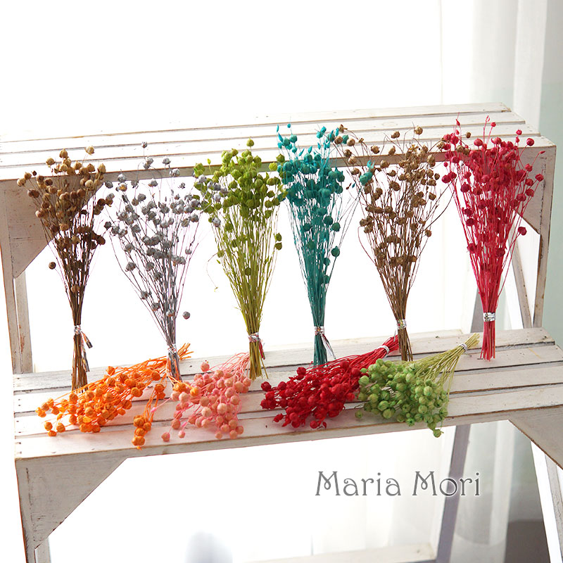 5g/Konserwowane nasiona lnu Na – Home Fragrance Flowers recenzja i cena