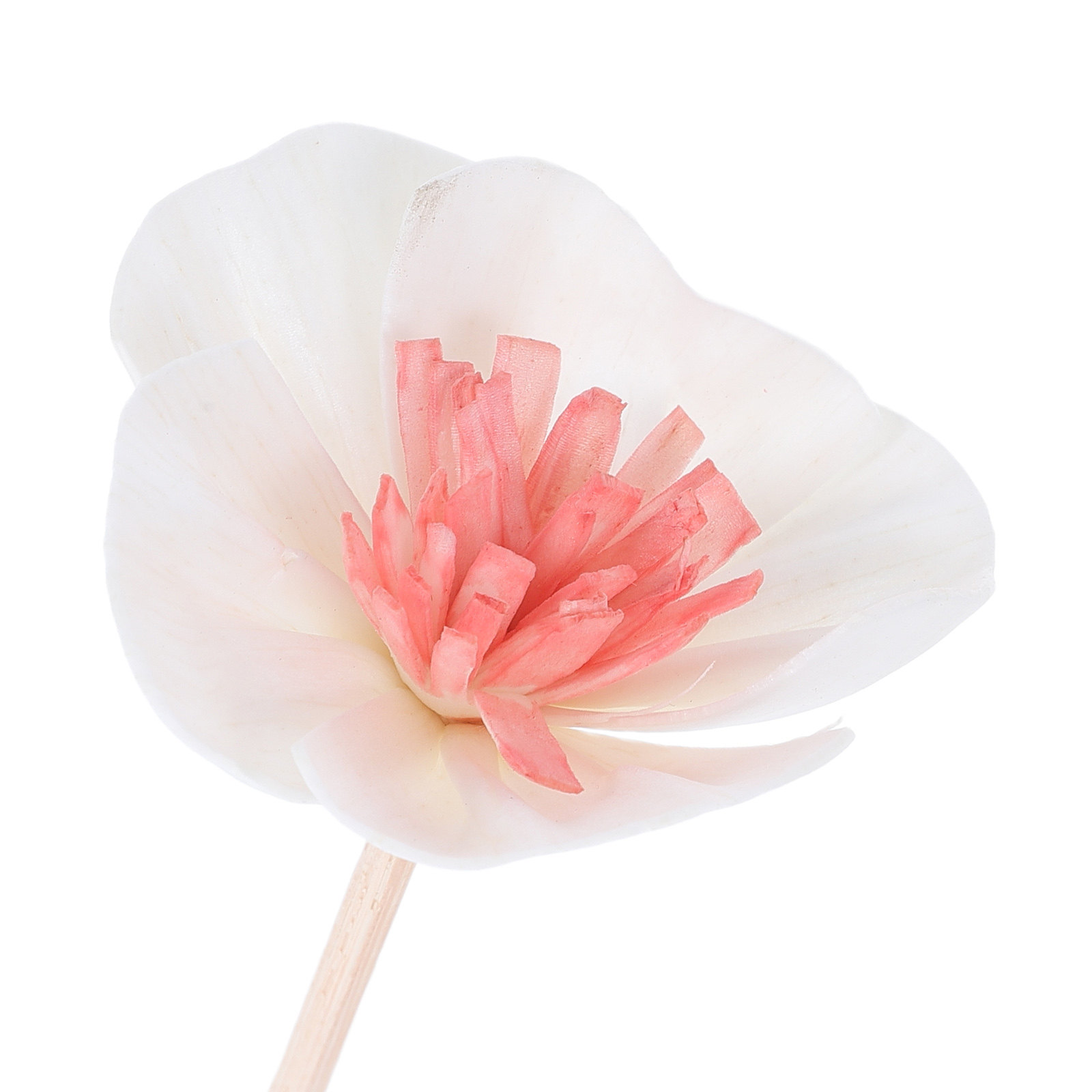 10 sztuk czarnych patyczków do – Home Fragrance Oil recenzja i cena